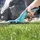 Gardena Comfort Grasschere