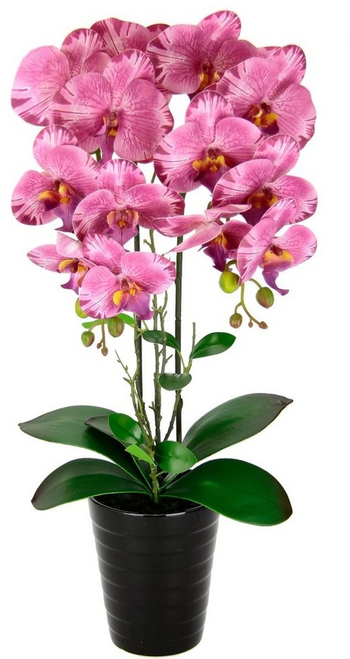 Kunstblume Orchidee, I.GE.A., Höhe 58 cm, Im Topf Phalaenopsis Orchidee Phalaenopsis mit Übertopf Hochzeit rosa