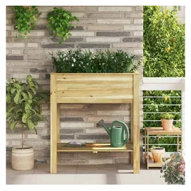 vidaXL Hochbeet Gartenpflanzenständer 85 x 46 x 94 cm Braun