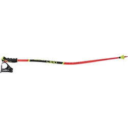 LEKI Herren Alpin-Skistock WCR Lite GS 3D, mehrfarbig, 120