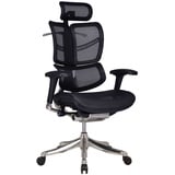 TPFLiving Bürostuhl Norman Ergonomic mit Netzbezug Schwarz