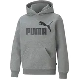 Puma 586965_03_3-4Y Sportpullover/-Hoodie