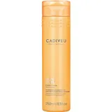 CADIVEU Nutri Glow Conditioner 250 ml