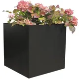 Palatino Nora 50 x 50 x 50 cm Anthrazit