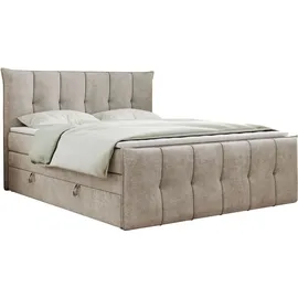 MKS Premium 11 King 140 x 200 cm H4 Beige
