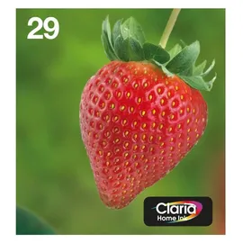Epson 29 CMYK EasyMail