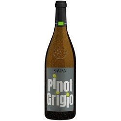 Pinot Grigio Venezia DOC 2023, Bio Weisswein, Biowein