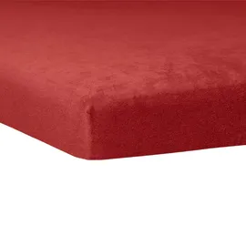 Traumschlaf Spannbettlaken Flauschbiber 120 x 200 - 130 x 200 cm rot