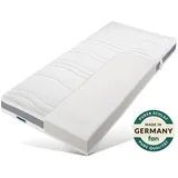 fan ProVita First Class T 140 x 200 cm H2