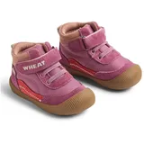 Wheat Prewalker Tody Tex Lila 23