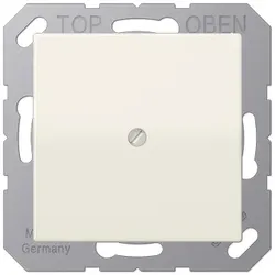 JUNG AS 590 A, Elfenbein, Duroplast