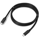 Lenovo USB-C 1,5 m Schwarz