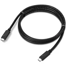 Lenovo USB-C 1,5 m Schwarz
