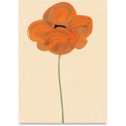 Paper Collective - Orange Vallmo Poster, 30 x 40 cm