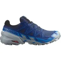 SALOMON Herren Trailrunningschuhe SHOES SPEEDCROSS 6 GTX Bluepr/Ibizbl/Qua, Größe 42 in Blau Blue Print/Ibiza Blue/Quarry