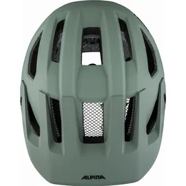 Alpina Rootage 2 52-56 cm willow/green black matt