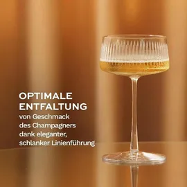 Stölzle Lausitz New York Bar Soho Sektglas 0,316 l 6 St.