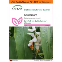 SAFLAX - Garden in the Bag - Kräuter -