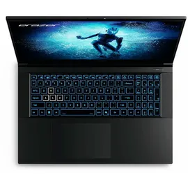 Medion Defender P50 17,3" Intel Core i7-12650H 16 GB RAM 1 TB SSD RTX 4060 Win 11 Home Schwarz