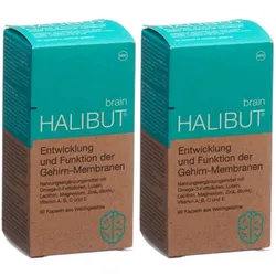 Heilbutt Gehirn