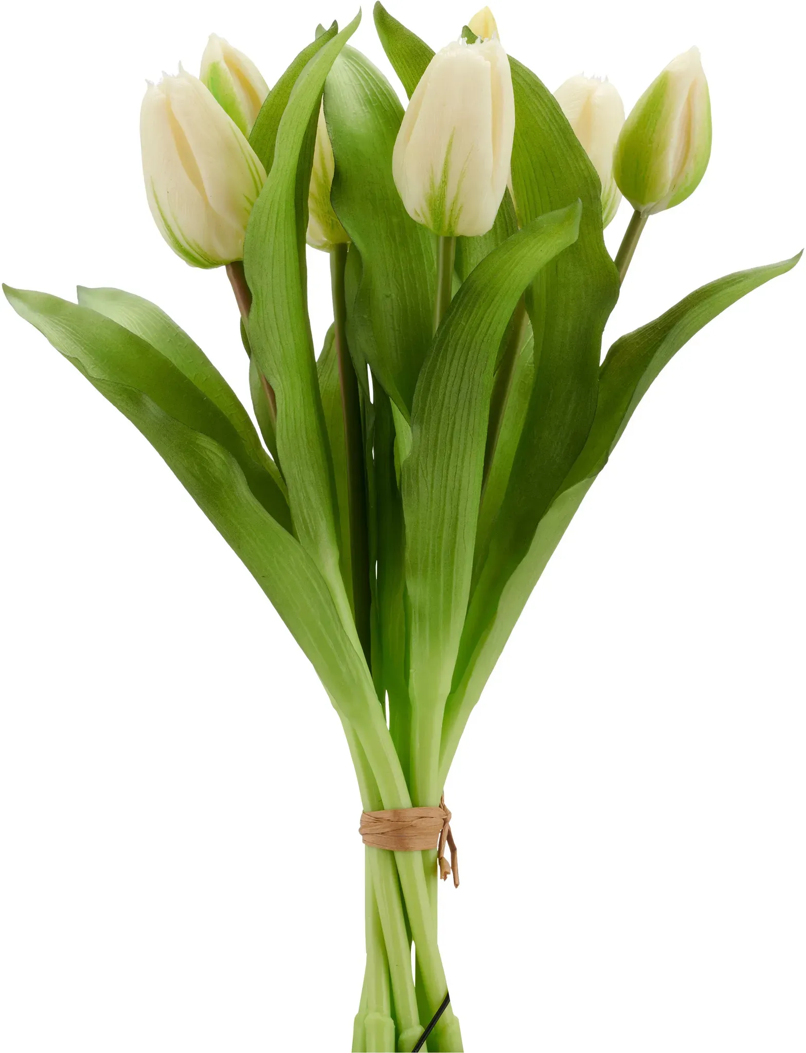 Kunsttulpe CREATIV GREEN 