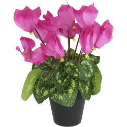 Kunstblume I.GE.A. "Alpenveilchen im Topf", rosa (dunkelrosa), B:20cm H:28cm L:18cm, Polyester, Kunstpflanzen, Künstliche Blume Dekopflanze Kunstpflanze Pflanze Primeln Seidenblume