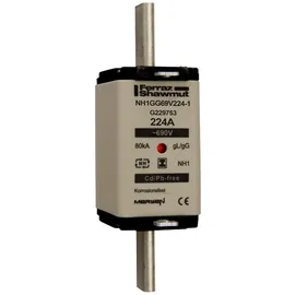 Mersen NH-Sicherungseinsatz SG NH3GG69V425-1