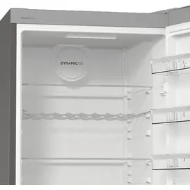 Gorenje R619DAXL6 Kühlschrank (398 l, 1850 mm hoch, Grau)