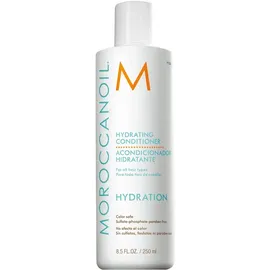 Moroccanoil Feuchtigkeitsspendender Conditioner 250 ml)