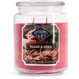 Candle BROTHERS Sugar & Spice große Duftkerze 2 Docht rot