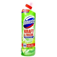 Domestos Kraft & Frische Lime Fresh 750 ml