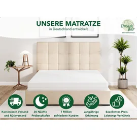 Dreamstar Simple Flex 7-Zonen 80 x 200 cm H2/H3