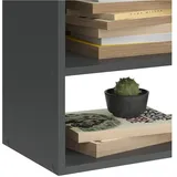 Vicco Hängeschrank Wido 60 x 100 x 30 cm Grau