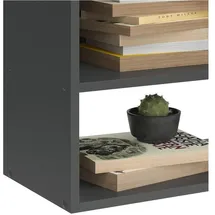 Vicco Hängeschrank Wido 60 x 100 x 30 cm Grau