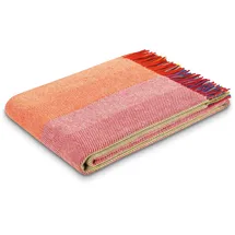 Biederlack Colour lines Kuscheldecke 150 x 200 cm Bunt