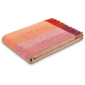 Biederlack Colour lines Kuscheldecke 150 x 200 cm Bunt