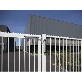 Locinox Türschließer Lion für Türen bis zu 75 kg Aluminium Silberfärbig