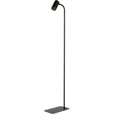Licht-Erlebnisse Colene NO1/2/0274 Schwarz Gold