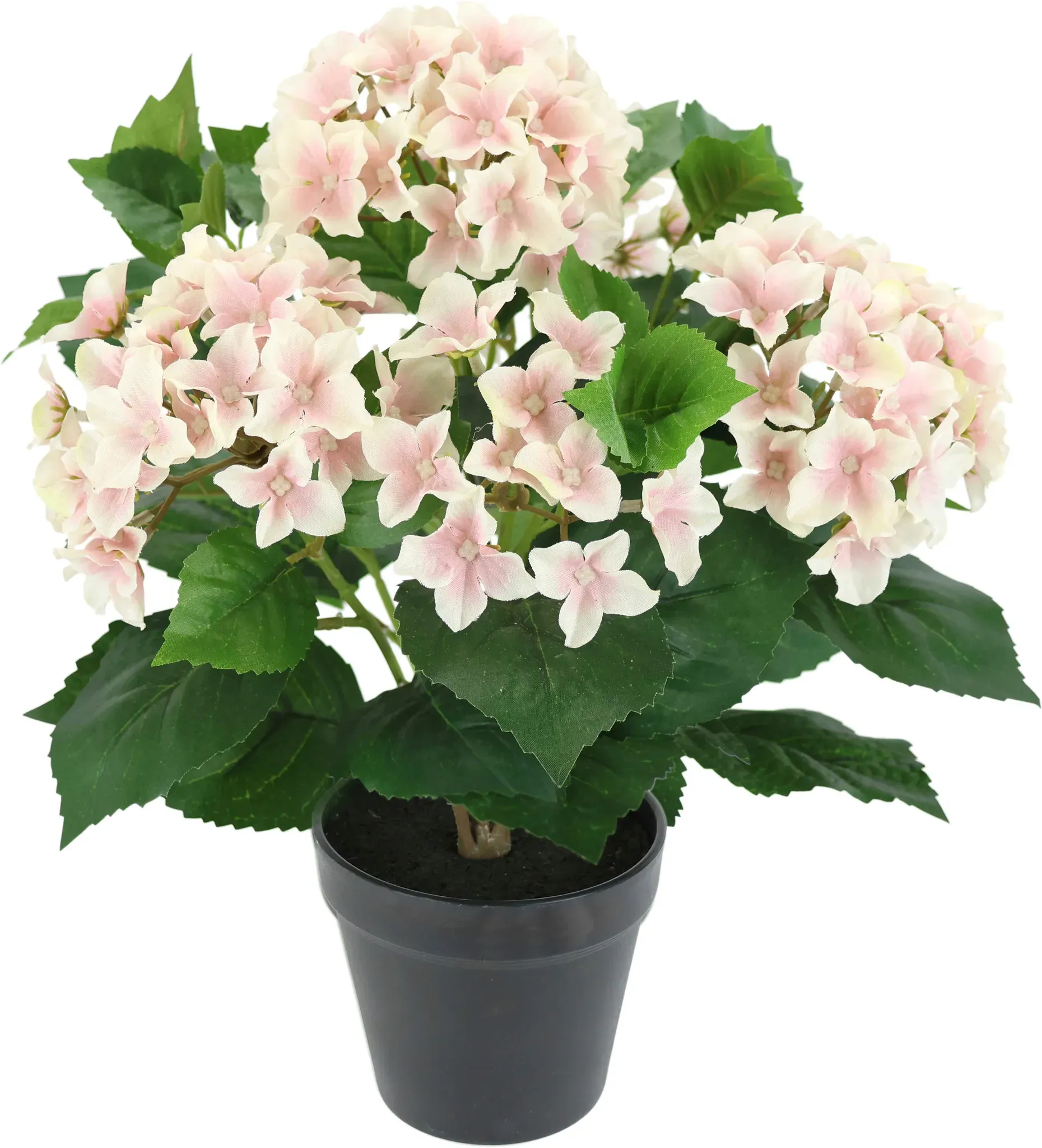 Kunstblume OTTO HOME 