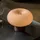 Nordlux Malti Beige