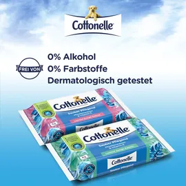 Cottonelle Feuchtes Toilettenpapier Sauber Pflegend 12 x 42 Tücher