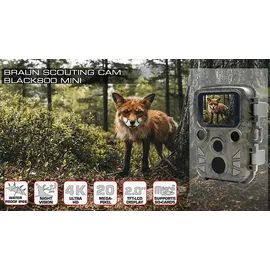 Braun Photo Technik Scouting Cam Black800 Mini