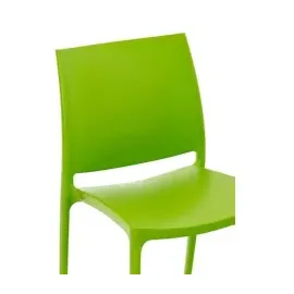 CLP Maya Gartenstuhl-Set 44 x 50 x 81 cm grün 2 St.