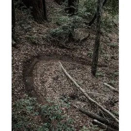 Poc Resistance Pro DH Pant, schwarz uranium black M