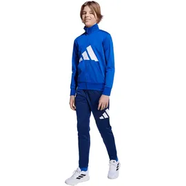 adidas Essentials Climacool Trainingsanzug J BL TR TS 205 JV9959 - team royal blue/white 140