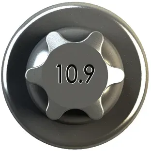 IPSA Pleuelschraube cob00500 für Peugeot BMC