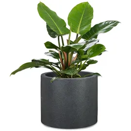 Scheurich Panzano 50 Ø 48 x 40,3 cm Schwarz-Granit