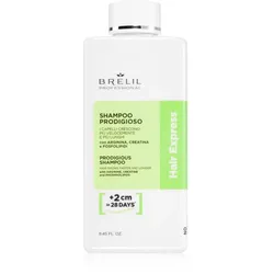 Brelil Professional Hair Express Prodigious Shampoo Shampoo für das Wachstum der Haare und die Stärkung von den Wurzeln heraus 250 ml