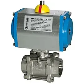 Riegler ES-Kuha pneumat. Stellantrieb einfachwirkend Rp 1 DN 25