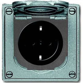 Busch-Jaeger Schuko-Steckdose 20 EFDB2 Grau 1 St.